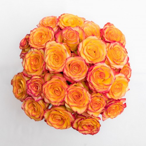 Roses Oranges